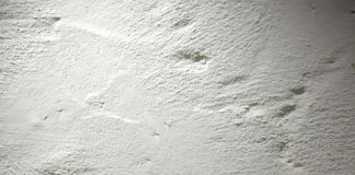 Szlifowanie gładzi gipsowych – lepszy papier ścierny czy siatka? gładzie gipsowe